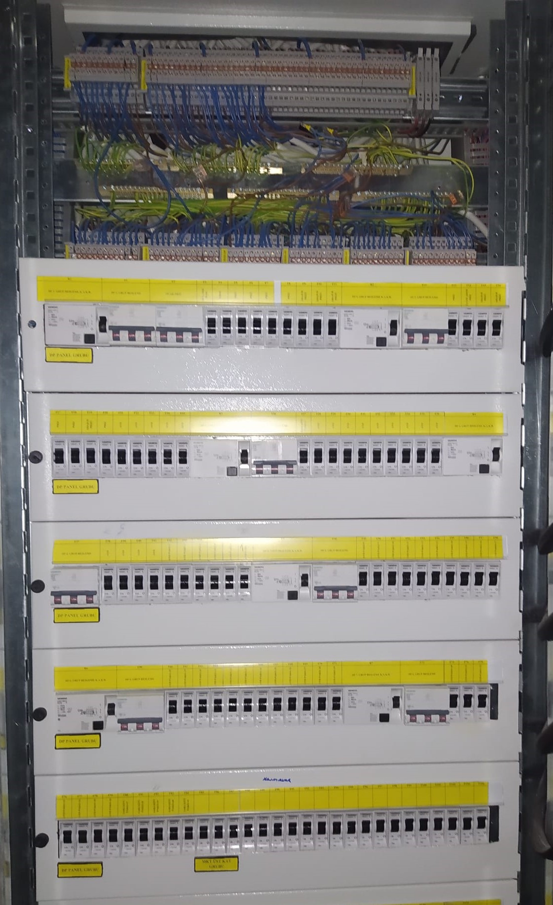 Büyütülmüş Görsel